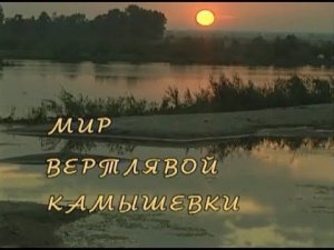 Мир вертлявой камышевки. Документальный фильм