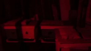 Зимовка среднерусских пчел в сарае без верхнего утепления