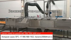 Промышленный дегидратор для овощей, ягод и фруктов, мяса, сыра, меда, экстрактов, сока, водорослей