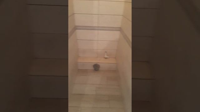 Кладка кафеля в туалете !!! Оренбург. тел: 89510390410.