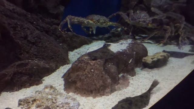 Влог : Москва и Питер ) смотреть онлайн