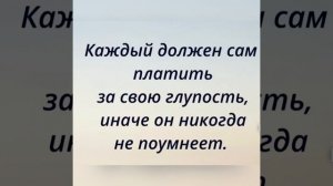 «Каждый должен сам платить за свою глупость…..»