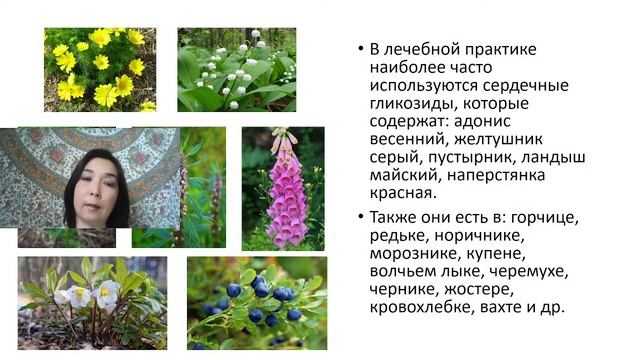 Вебинар: Основы травничества. Действующие вещества растений.