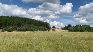 Деревня Поповка, Касимовский район