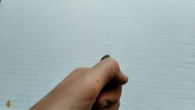 Больно ли кусается ящерица!?