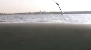 2014.08.21 Жесть СОМ НА КОЛЬЦО 17 кг/Рыбалка на Каме/Лещ на кольцо