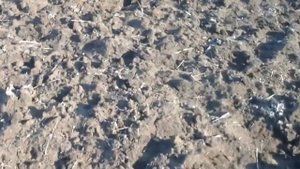село Сергеевка