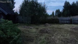 Август. Отпуск. Дом.