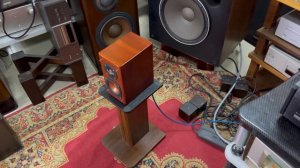 Малыши Victor sx wd5 wood cone