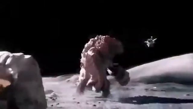 Как выглядит лунтик в жизни