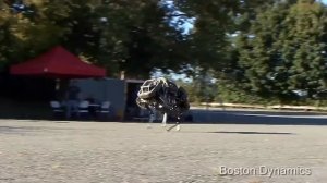 РОБОТ-ЛОШАДЬ WildCat