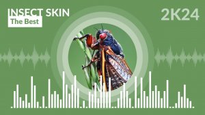 Insect Skin - The Best