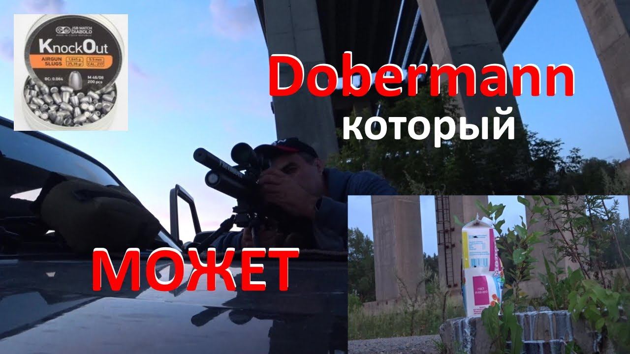 Доберман отправляет в нокаут! JSB SLUGS 5,5 смотреть онлайн