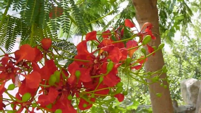 panasonic lumix dmc fz38 test (great colours) hd смотреть онлайн