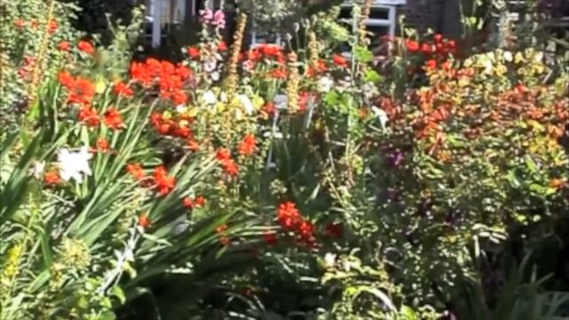 Blue wellies in the crocosmia jungle смотреть онлайн