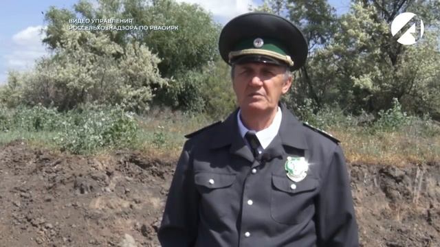 Россельхознадзор выявил нарушение земельного  законодательства