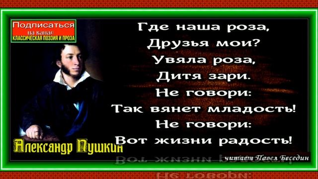 Роза, Александр Пушкин ,Русская Поэзия, читает Павел Беседин смотреть онлайн