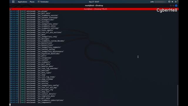 SQL Injection Vulnerabilities on Real Websites | using SQLMap and Google Dork смотреть онлайн