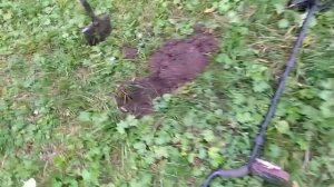 По монетам с ТХ-850