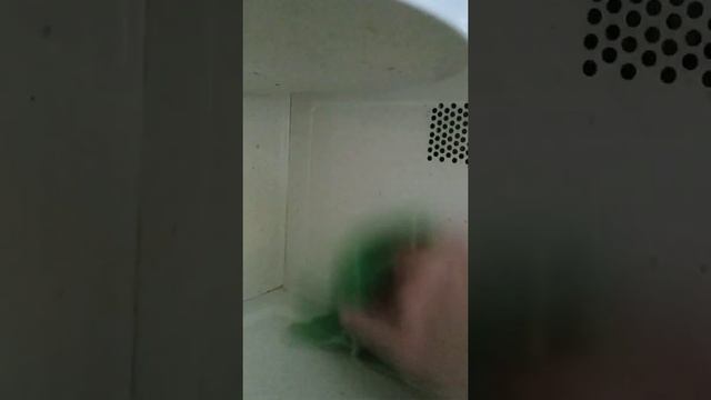 Салфетка для посуды, творит чудеса в чистке микроволновки смотреть онлайн