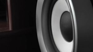 bassotronics_-_bass_i_love_you