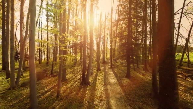 Chi Mai - Ennio Morricone ~ Piano cover by Romantic Piano Channel смотреть онлайн