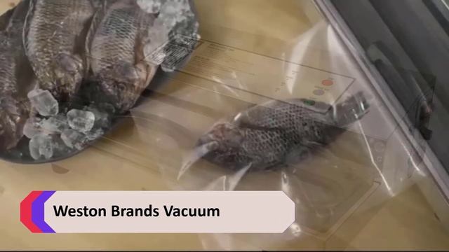 ?Top 5 Vacuum Sealer ?( 5 best Vacuum Sealer ) ?Vacuum Sealer review 2022 смотреть онлайн