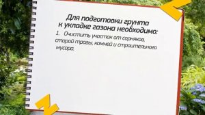 Садовая азбука: Как подготовить участок к укладке рулонного газона
