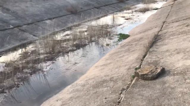 Северо-Крымский канал, первая вода.