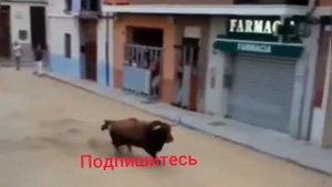 24 декабря 2021 г. Испания Коррида