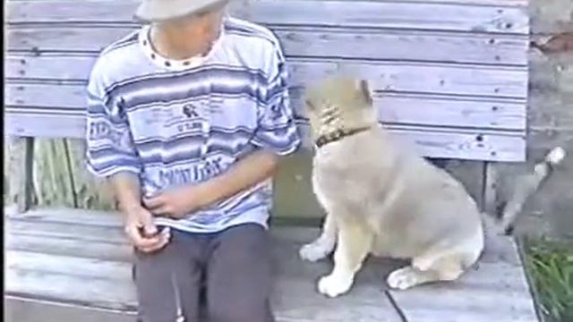 [ VHS видеоархив ] Часть 6: Июнь 2003 года смотреть онлайн