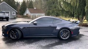 Looking good with PPF and ceramic #darkhorse #mustang #ford #musclecar #mustangdarkhorse