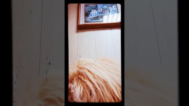 27 декабря 2019 г. смотреть онлайн