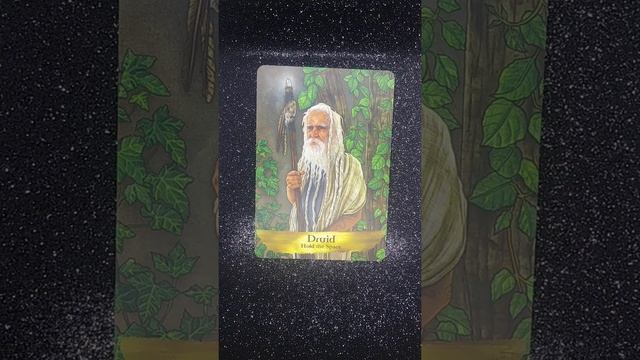 Druid✨Daily Guidance - Angels & Ancestors Message #angels #ancestors #guidance #druid #message смотреть онлайн