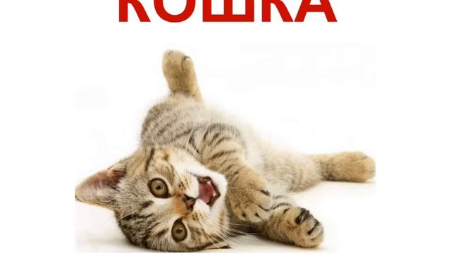 Мама-сурдопедагог. Кохлеарная имплантация. Слабослышащие дети. Учимся читать. КОШКА