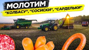 СМЕНИЛИ ПОДБАРАБАНЬЕ И НАЧАЛИ УБОРКУ РАННЕЙ СОИ В ДВА КОМБАЙНА JOHN DEERE.