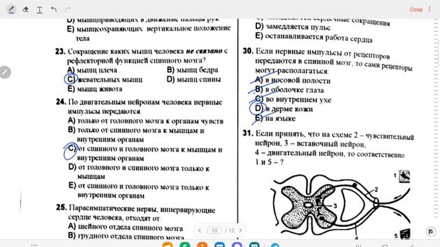 ДИМ/Сборник по биологии 2021/Рефлекс - основной принцип работы нервной системы/ смотреть онлайн