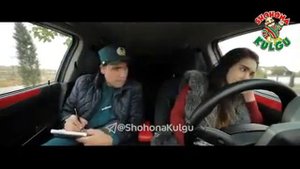 шохона кулгу