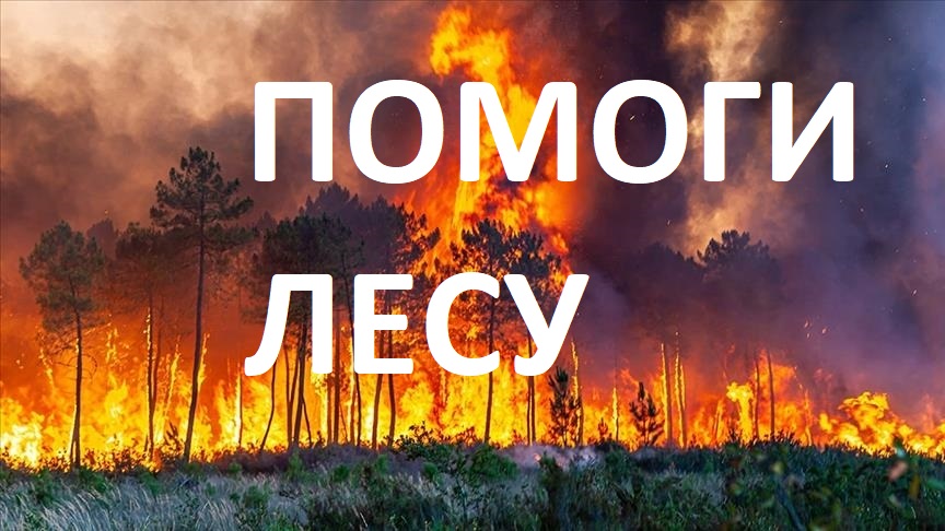 СПАСАЕМ ЛЕСА ОТ ПОЖАРОВ И ЗАРАБАТЫВАЕМ НА ВАЛЕЖНИКЕ смотреть онлайн
