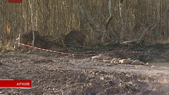 К участкам в Шолохово и Плетнихи до конца этого года подведут коммуникации