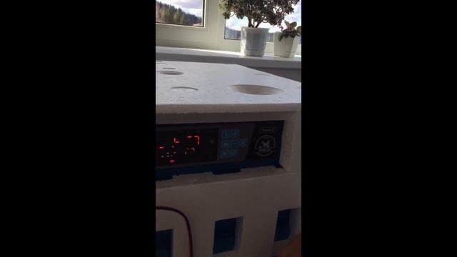 Первый запуск инкубатора для яиц "Птичий двор" модель S-64 (Начало, часть 1) смотреть онлайн