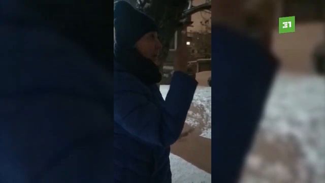 «Дети боятся выходить на улицу». Агрессивные собаки держат в страхе жителей двора на Каслинской смотреть онлайн