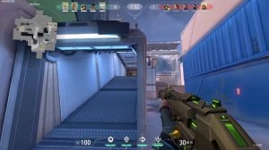 Valorant Protocol 781-A Phantom Skin voice lines and kills