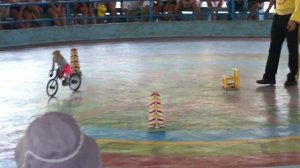 Остров обезьян,цирк