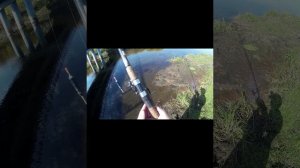 Рыбалка на Большой речке. Часть 1. Мост.mp4