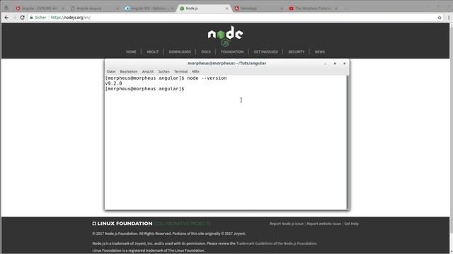 Angular 5 Tutorial #1 - Einleitung und Installation смотреть онлайн