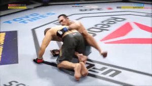 Хабиб Нурмагомедов vs Тони фергюсон ...29-0?