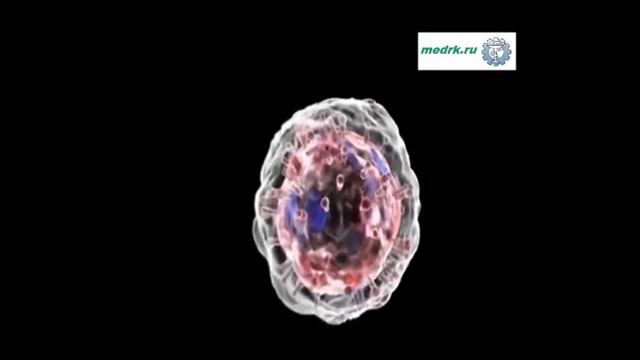 Насморк и рециркуляры смотреть онлайн