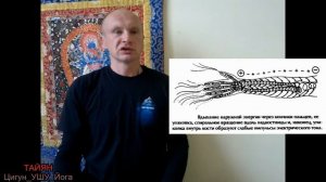 Костное Дыхание Цигун Павел Ян