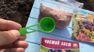 Подкормка винограда до цветения.